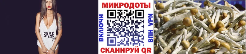 Купить где  Красавино  Галлюциногенные грибы Psilocybine cubensis 